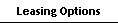 Leasing Options